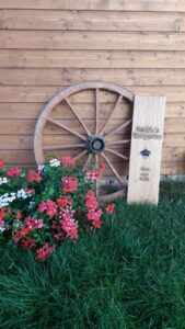 IMG-20200819-WA0005